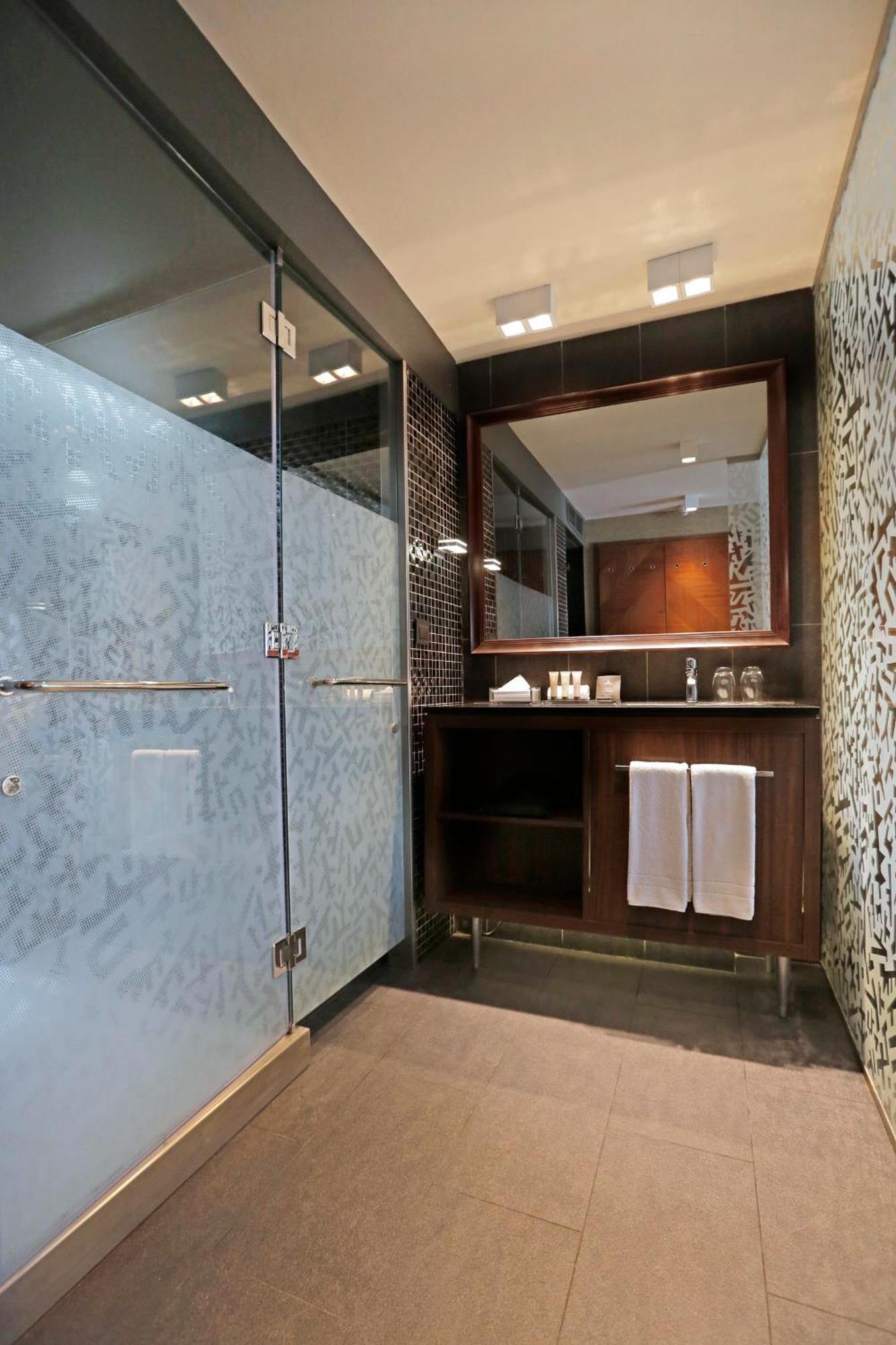 Hotel Cumbres Lastarria Santiago Phòng bức ảnh A shower enclosure